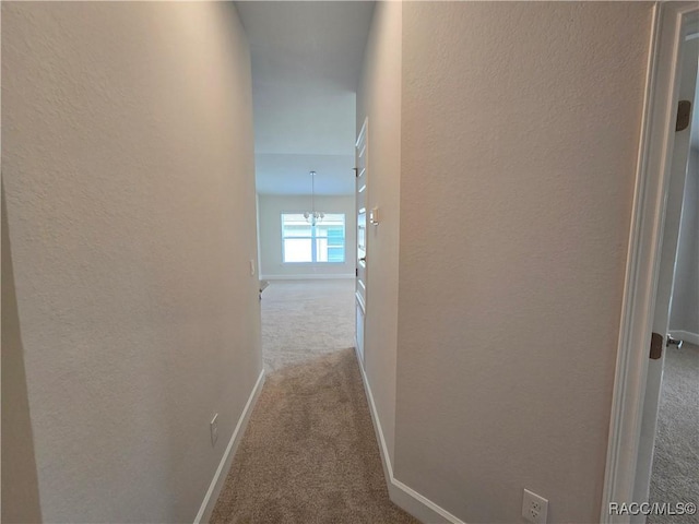 5001 N Triple Eagle Path, Beverly Hills, FL 34465 - photo 8