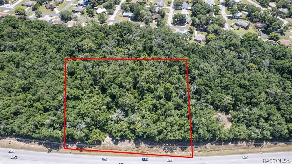 3329 N Lecanto Hwy, Beverly Hills, FL 34465 - photo 1