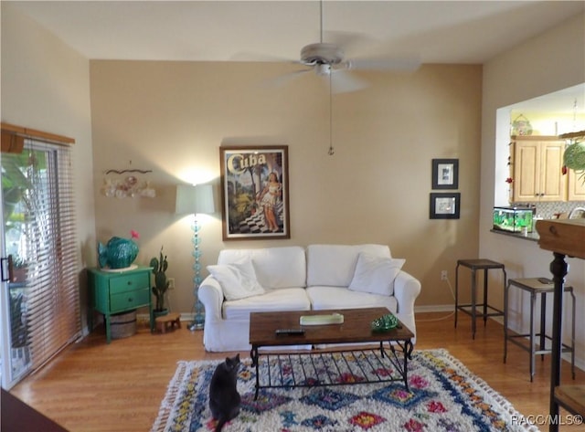 living room with ceiling fan and light wood-type flooring