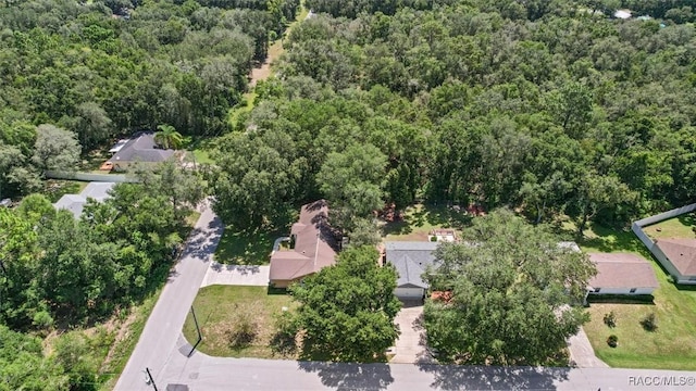 4002 E E Beck St, Inverness, FL 34453 - photo 42