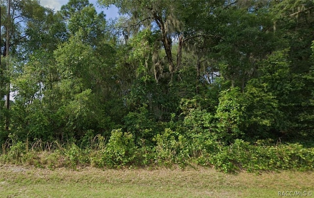 2828 E Chartwell Cir, Hernando FL, 34442 land for sale