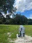 4160 NE 127th Pl, Anthony, FL 32617