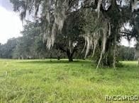4160 NE 127th Pl, Anthony, FL 32617