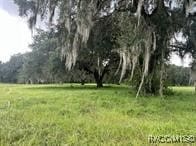 4160 NE 127th Pl, Anthony FL, 32617 land for sale