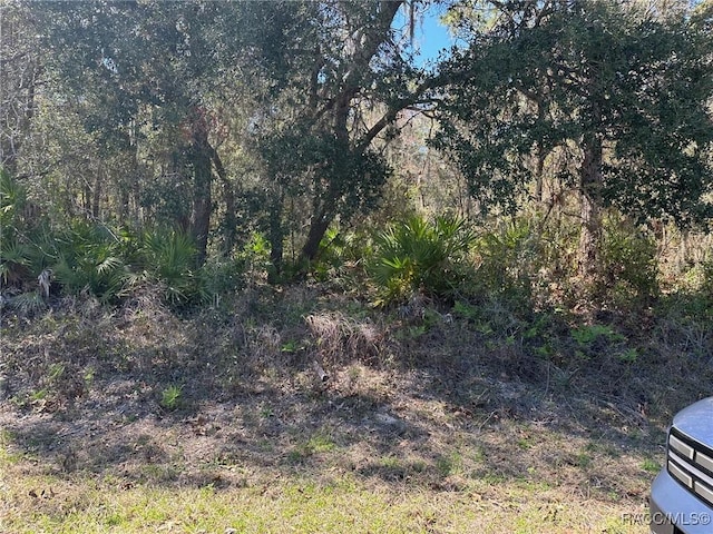 2830 S Bolton Ave, Homosassa FL, 34448 land for sale