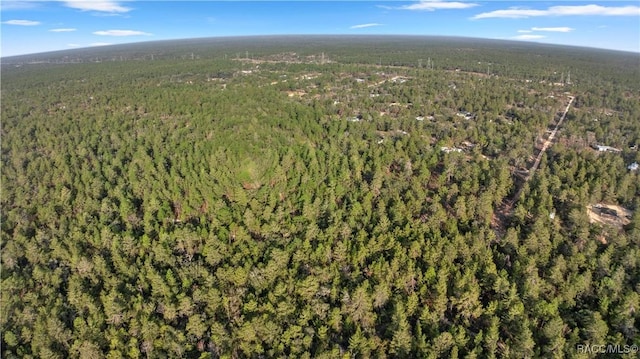6277 N Zircon Pt, Dunnellon, FL 34433 - photo 7