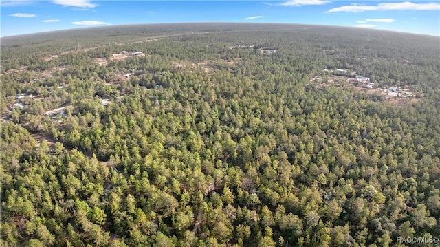 6277 N Zircon Pt, Dunnellon, FL 34433 - photo 5