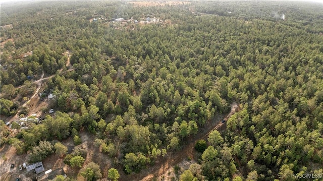 6277 N Zircon Pt, Dunnellon, FL 34433 - photo 3