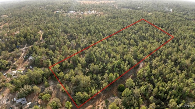 6277 N Zircon Pt, Dunnellon, FL 34433 - photo 2
