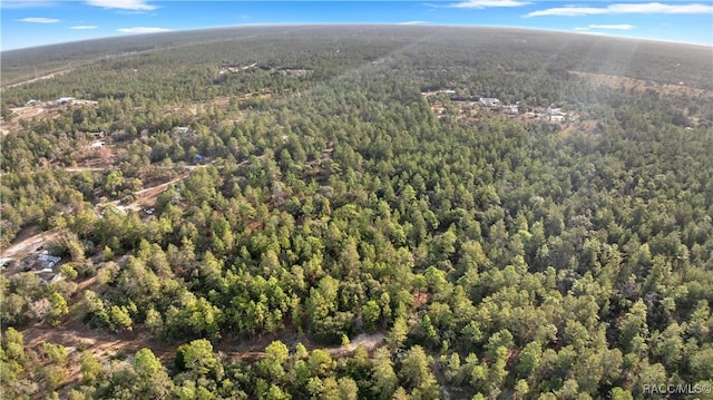 6277 N Zircon Pt, Dunnellon, FL 34433 - photo 4