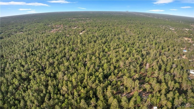 6277 N Zircon Pt, Dunnellon, FL 34433 - photo 8