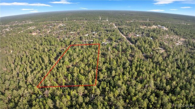 6277 N Zircon Pt, Dunnellon FL, 34433 land for sale