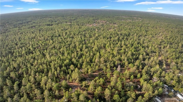 6277 N Zircon Pt, Dunnellon, FL 34433 - photo 9