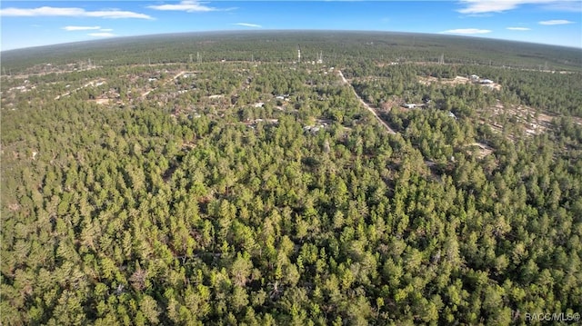 6277 N Zircon Pt, Dunnellon, FL 34433 - photo 6