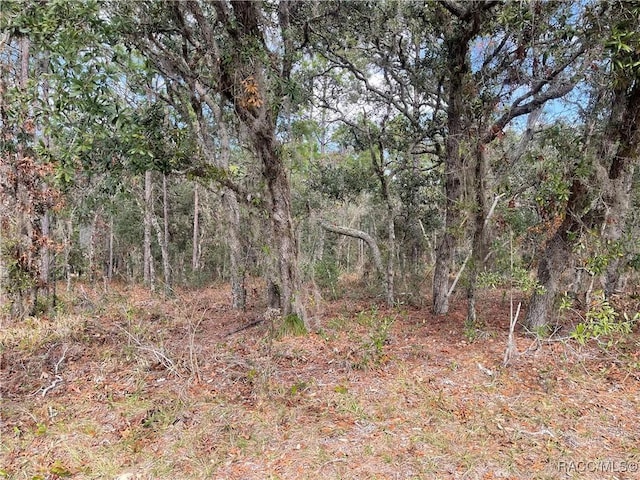 Listing photo 3 for 143 Cypress Blvd E, Homosassa FL 34446