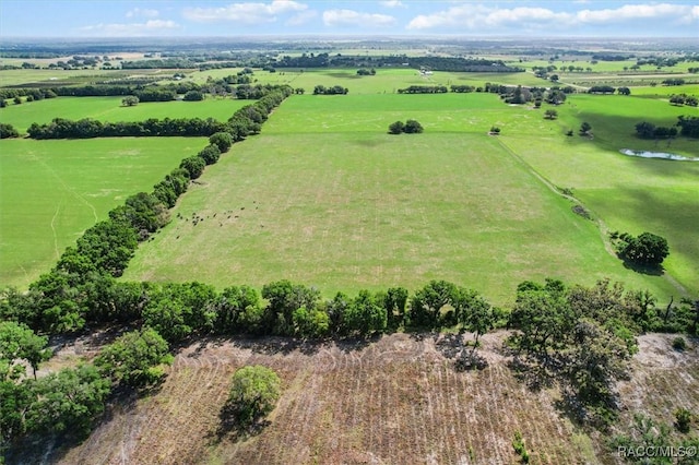 bird's eye view with a rural view