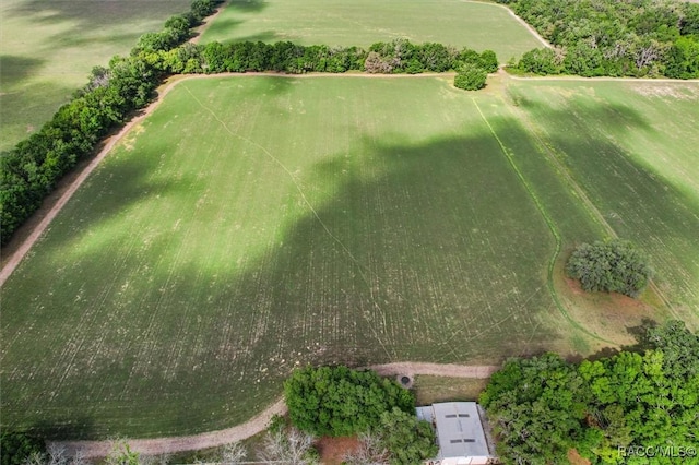 bird's eye view