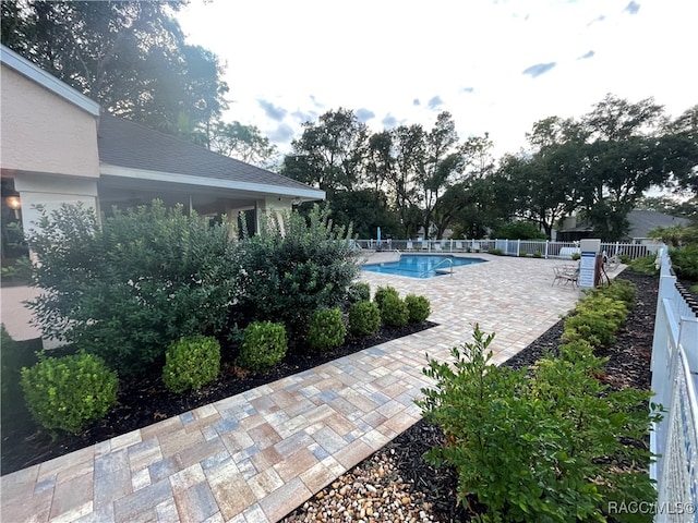 view of pool with a patio