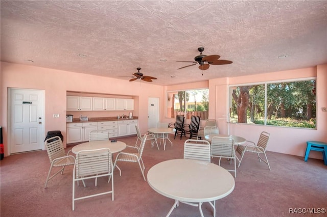 58 W Byrsonima Loop, Homosassa, FL 34446 - photo 52