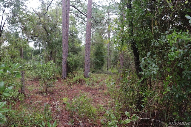 00 NW Beuna Vista Rd, Dunnellon FL, 34431 land for sale