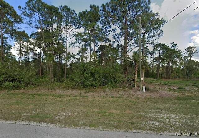 573 Eisenhower Blvd, Lehigh Acres FL, 33974 land for sale