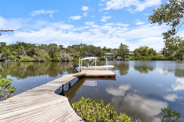 dock area with a water view