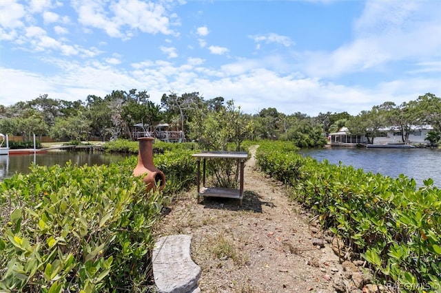 view of yard with a water view