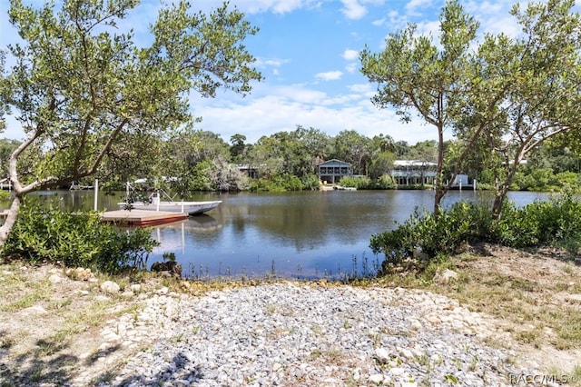 water view featuring a dock