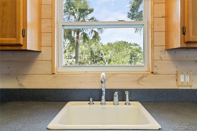 kitchen featuring wood walls, a healthy amount of sunlight, and sink