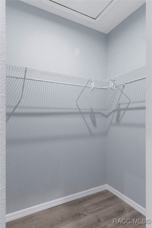 walk in closet featuring dark wood-style floors