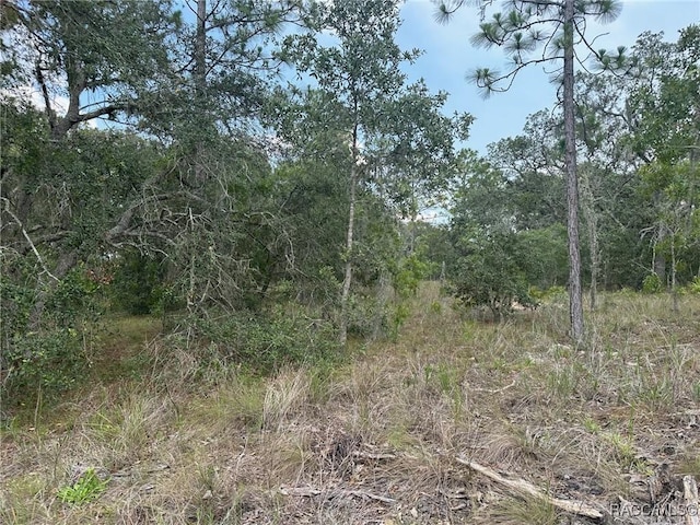 869 N Kensington Ave, Lecanto, FL 34461
