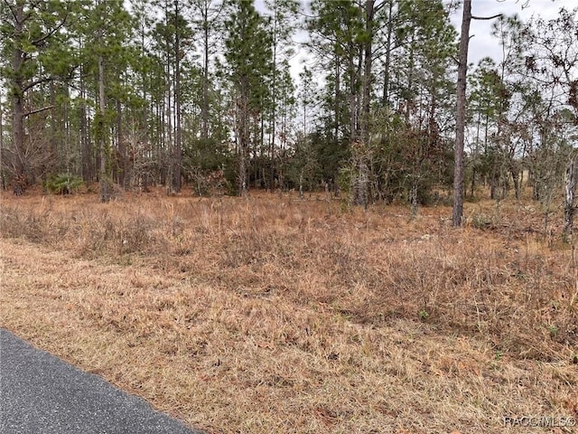 Listing photo 3 for LOT14 SE 136th Ter, Dunnellon FL 34431