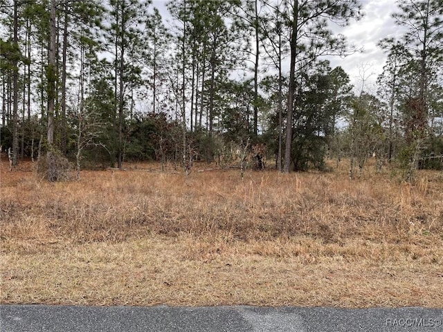 LOT14 SE 136th Ter, Dunnellon FL, 34431 land for sale