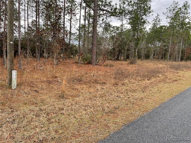 Listing photo 2 for LOT14 SE 136th Ter, Dunnellon FL 34431