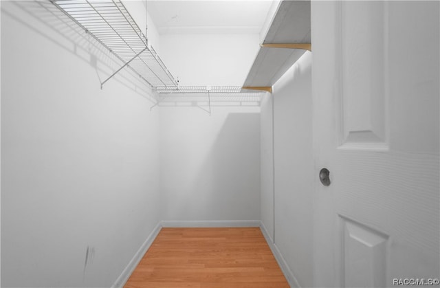 walk in closet with light hardwood / wood-style floors