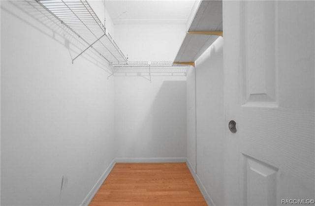 2400 Forest Dr Unit 103, Inverness, FL 34453 - spacious closet featuring light wood finished floors