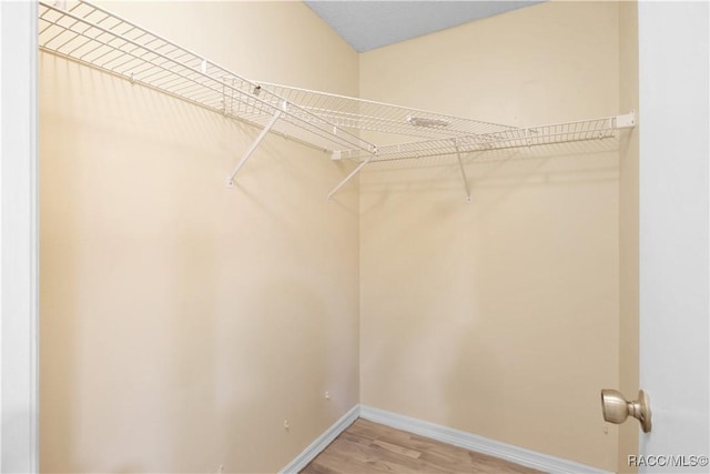 3231 S Eagle Pt, Inverness, FL 34450 - spacious closet featuring light wood finished floors