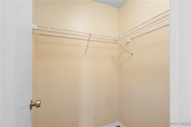 3231 S Eagle Pt, Inverness, FL 34450 - view of walk in closet