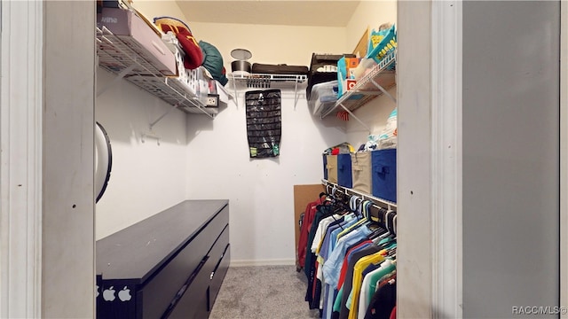 walk in closet with light colored carpet