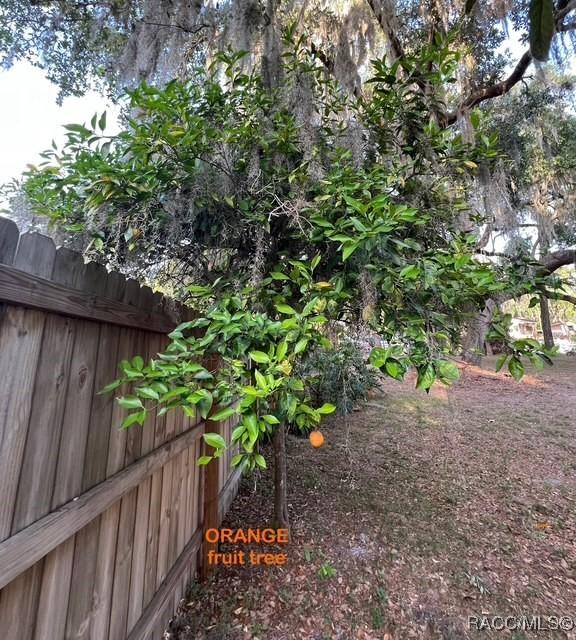 3729 E Turquoise Dr, Hernando, FL 34442 - photo 12