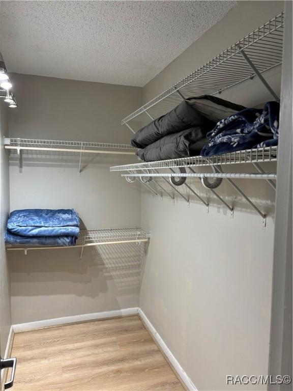 spacious closet featuring wood-type flooring