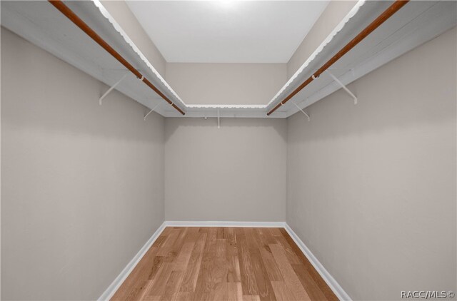 walk in closet featuring light wood-type flooring