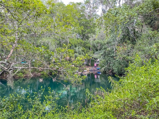 view of nature with a water view