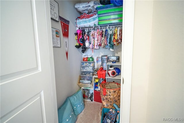 view of closet