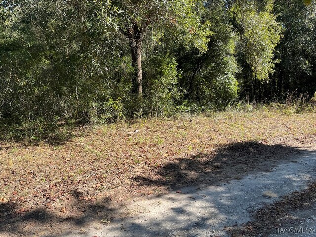 751 S Norma Ave, Inverness FL, 34453 land for sale