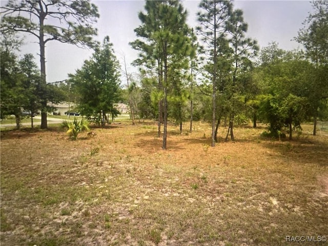 7299 N Embassy Ter, Dunnellon FL, 34434 land for sale