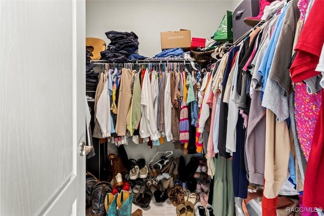 view of walk in closet