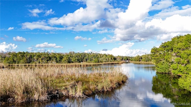 property view of water