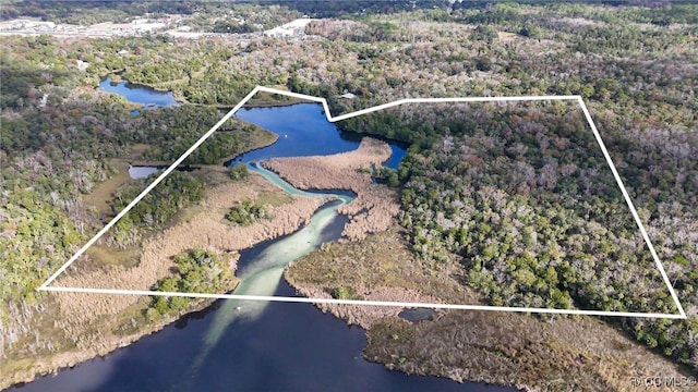 8964 W White Dogwood Dr, Homosassa, FL 34448 - bird's eye view featuring a water view