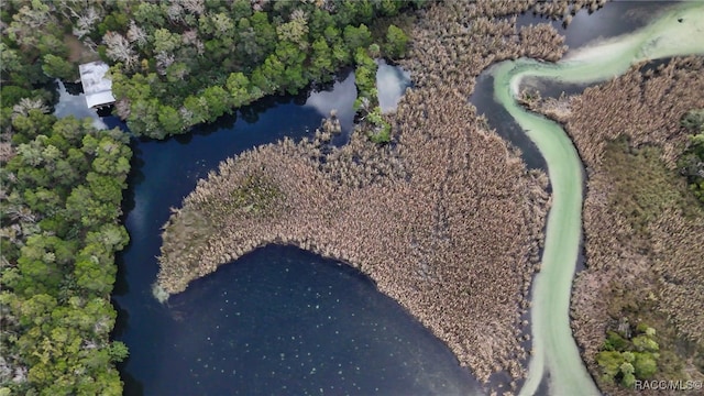 bird's eye view featuring a water view